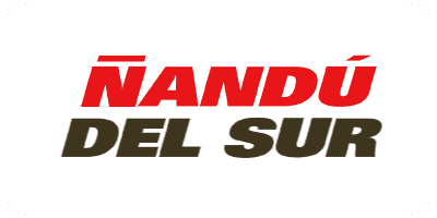 Ñandú del Sur