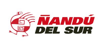 Ñandú del Sur