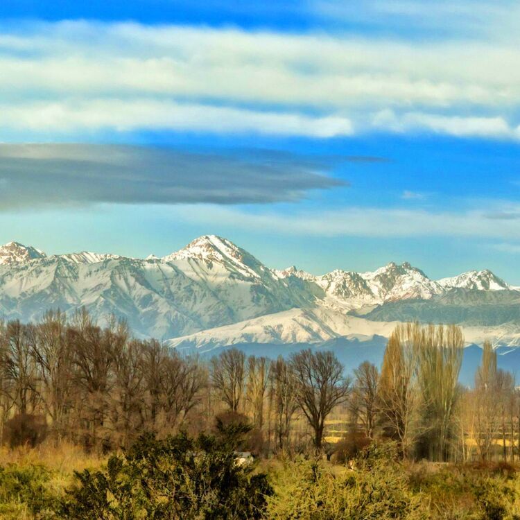 neuquen_75a073715e.jpg