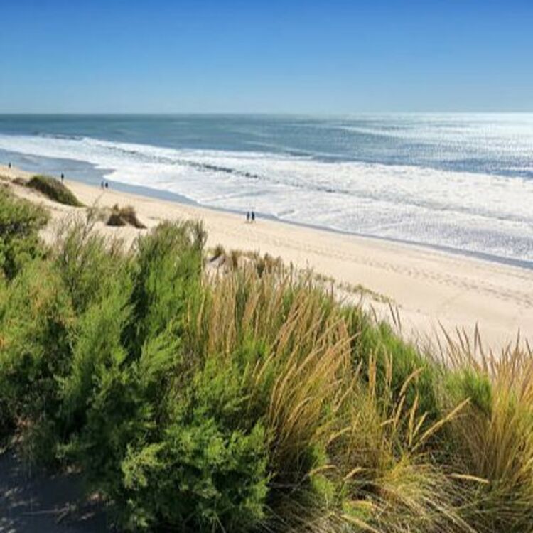 pinamar (1).jpg
