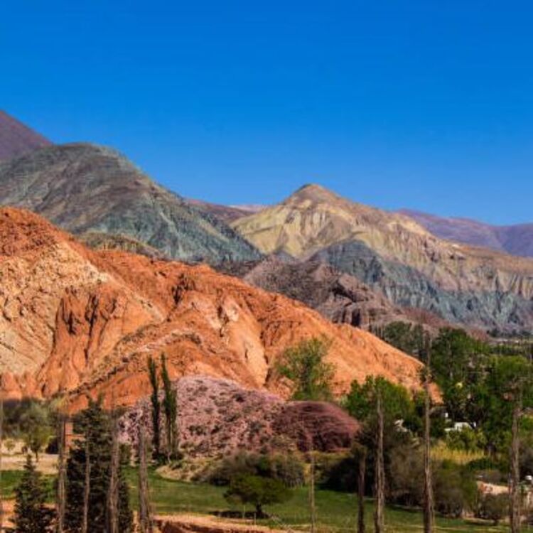 salta_1388853653.jpg