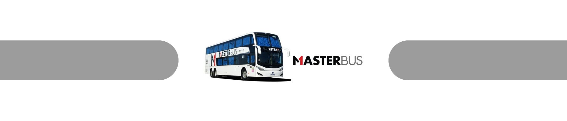 Master Bus