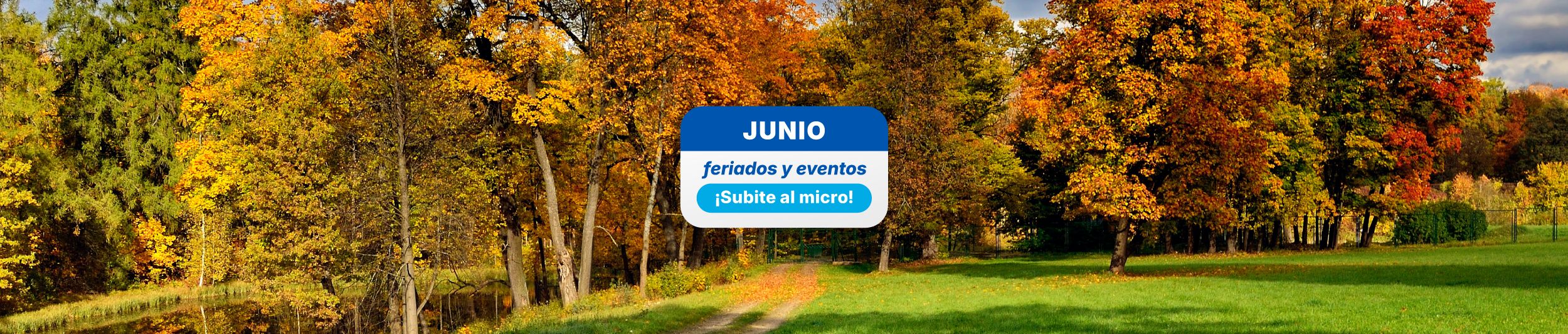 Landing Feriados Junio