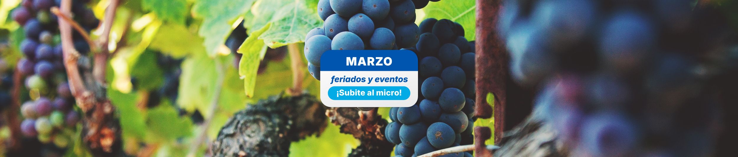 Landing Feriados Marzo