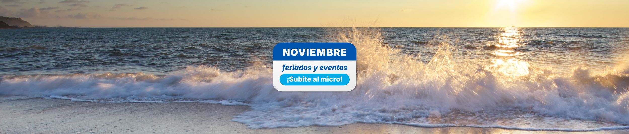 Landing Feriados Noviembre