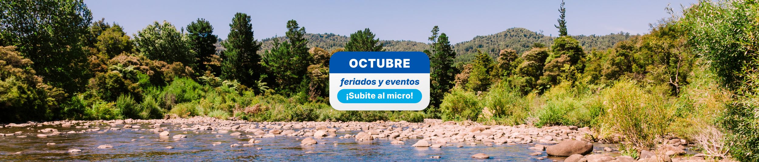 Landing Feriados Octubre