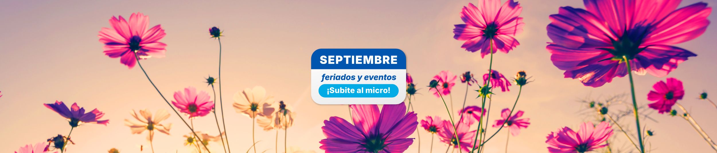 Landing Feriados Septiembre