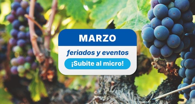 Landing Feriados Marzo