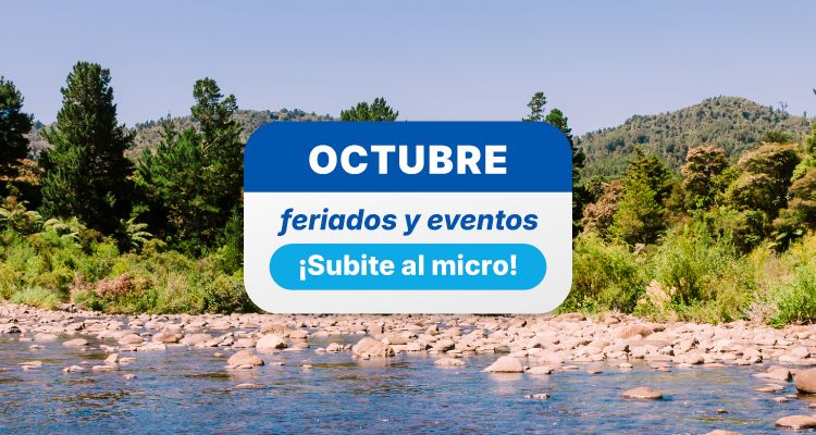 Landing Feriados Octubre